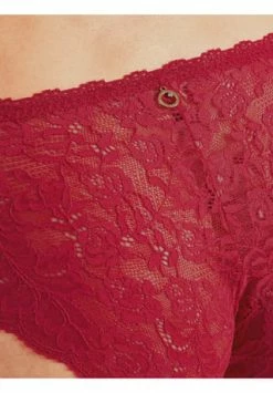 Schlussverkauf ???? Aubade Italiener-Slip "Rosessence", Spitze, Uni, Für Damen Rot ???? -Wonderbra Shop unnamed file 2293